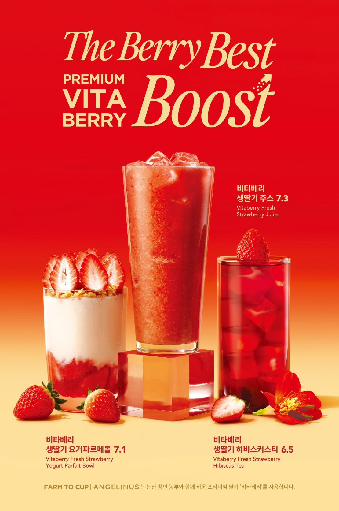 엔제리너스 '비타베리' 신제품 출시   아래 상세내용 참고